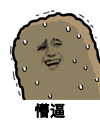 金馆长 猫屎 流汗 懵逼