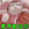 萌宠 猫 猫咪 赞 掌声 soogif soogif出品