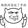 金馆长 斜眼 手指 默默的竖起中指