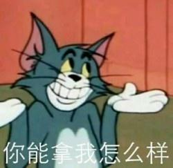 你能拿我怎么样 卡通 猫和老鼠 摊手