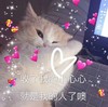 萌宠 猫星人 收了我的小心心 就是我的人了 呆萌 可爱