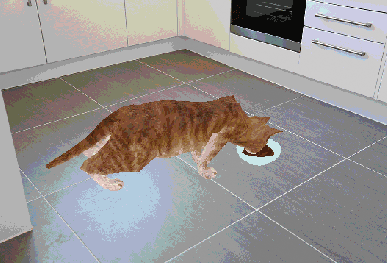 毕业神作 三维 爆笑 黄瓜 炸毛 猫咪 哈哈哈 bug 笑成傻逼