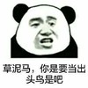 熊猫人 草泥马 你是要当 出头鸟是吧 骂人