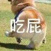 狗狗 屁股 跑起来 吃屁