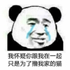 熊猫人 你根本就不爱我 你只是为了 撸我家的猫 哭