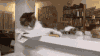 喵星人 猫咪 可爱 萌宠