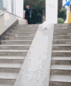 汪星人 萌宠 可爱 狗狗 搞笑