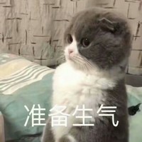 猫咪 可爱 准备生气 傲娇