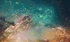 天文学 行星 空间 科学