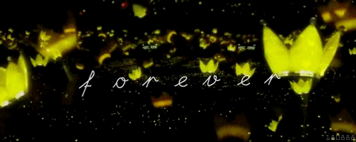 BIGBANG 演唱会 荧光棒 蝴蝶
