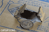 动物   可爱   外国      搞笑