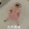 无所畏惧 洗澡 狗狗 泡沫 浴缸