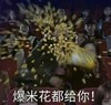 看电影 爆米花 打仗 惊呆了 爆米花都给你