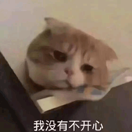 萌宠 猫 猫咪 喵星人 不开心 没有