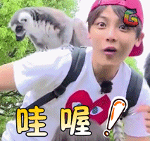 soogif soogif出品 侯明昊 放开我北鼻 哇