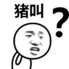 金馆长 问号 咧嘴 猪叫