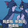 猫和老鼠 汤姆 杰瑞