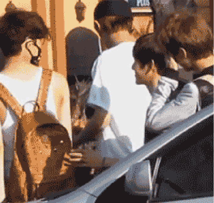 exo 帥哥 可愛 開心 搞怪