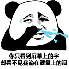 熊猫人 你只看到 屏幕上的字