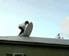 冲浪 屋顶 冲浪失败 surfing