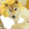 斗图 二汪 搞笑 滑稽