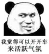 暴漫 熊猫头 我觉得可以开开车 来活跃气氛 搞怪 逗