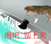 狗狗 别上了 潜水  隐身