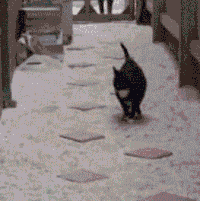 喵星人 雷人 蛋疼 猫咪 萌宠 猫
