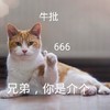 萌宠 喵星人 牛批 厉害 搞怪 逗
