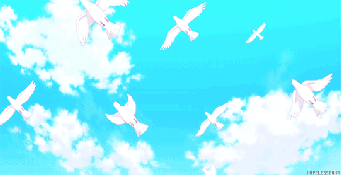 天空 白云 鸽子 飞舞