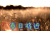 春日时光