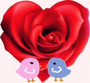 小鸟 花朵 红色 玫瑰 亲吻