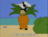 菠萝 pineapple 啄木鸟 搞笑  卡通