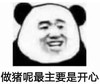 暴漫 熊猫头 做猪呢最主要是开心 搞怪 逗 沙雕