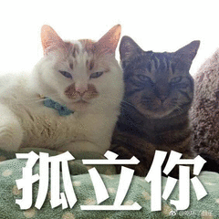 猫咪 孤立你 喵星人 搞笑 可爱