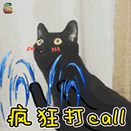 萌宠 猫咪 猫 赞 疯狂打call soogif soogif出品