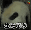soogif soogif出品 熊猫 生无可恋