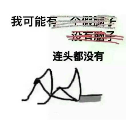 我可能有个假脑子 没有脑子 连头都没有