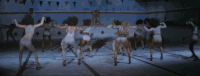 碧昂丝·吉赛尔·诺斯 Beyonce