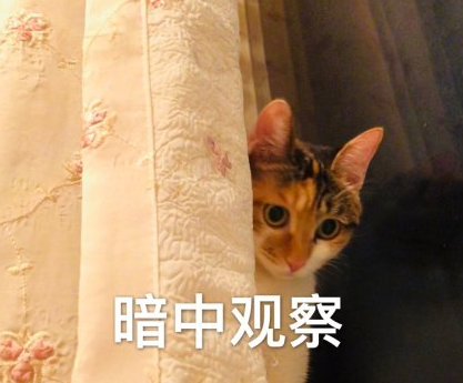 魔性 沙雕 大杂烩 搞怪 文字表情包