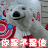 可口可乐吉祥物 北极熊 你是不是傻 soogif soogif出品