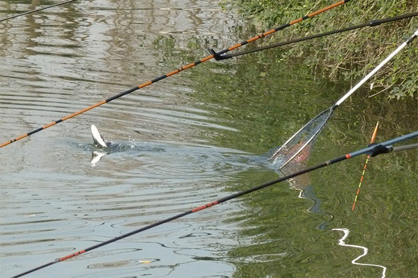 男子 河边 钓鱼