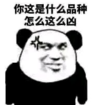 暴漫 文字表情包 你这是什么品种怎么这么凶 搞笑 魔性 逗