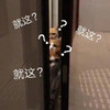 萌宠 猫星人 就这 好奇 呆萌 可爱