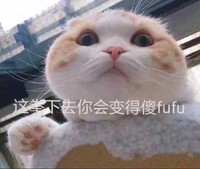 这拳下去你会变得傻fufu 猫咪 爪子 可爱 瞪眼