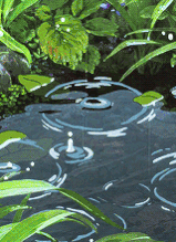 头像 动漫场景 唯美 美图 高质量 高逼格 高质量动图 动画场景 动画 卡通 卡通场景 场景 动漫