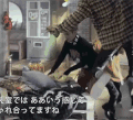 吴世勋 exo 欧巴 美男子 帅哥