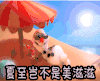 夏至