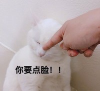 萌宠 猫星人 你要点脸 不敢说话 卑微 搞怪