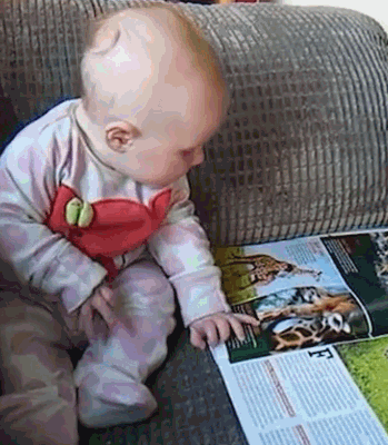 宝宝 带娃 看书 凶残 可怜 二胎
